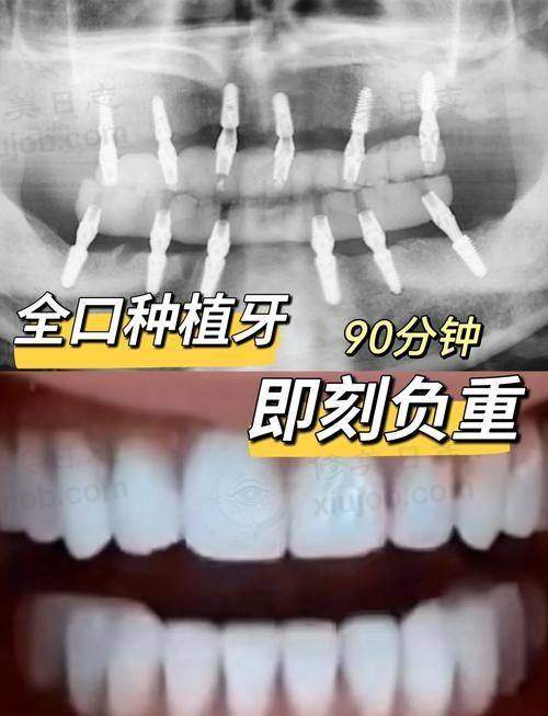总结与行动指引