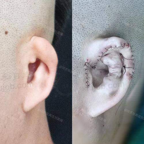 特色科室与项目