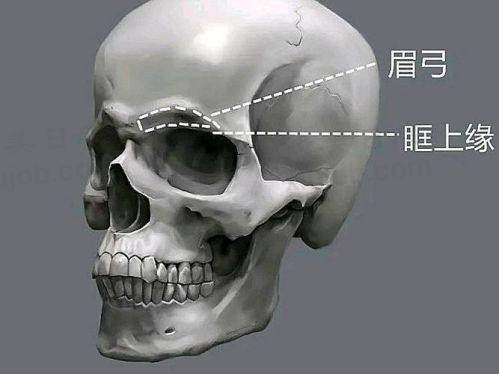 特色科室与项目