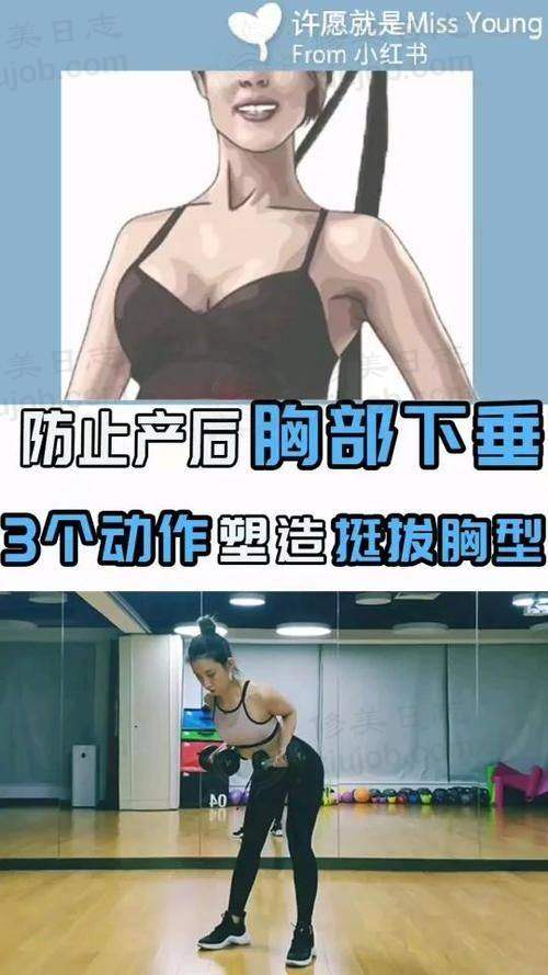 收费与价格原则说明