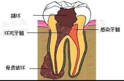 医院资质与合规声明