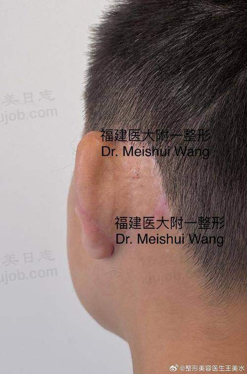 收费与价格原则说明