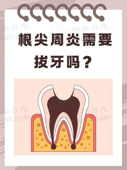 收费与价格原则说明