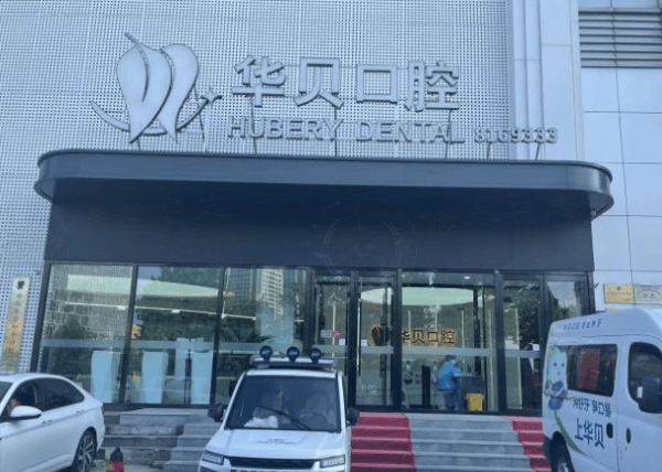 总结与行动指引