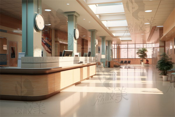 韩国江南Theme皮肤科整形医院