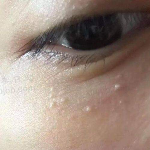 服务流程